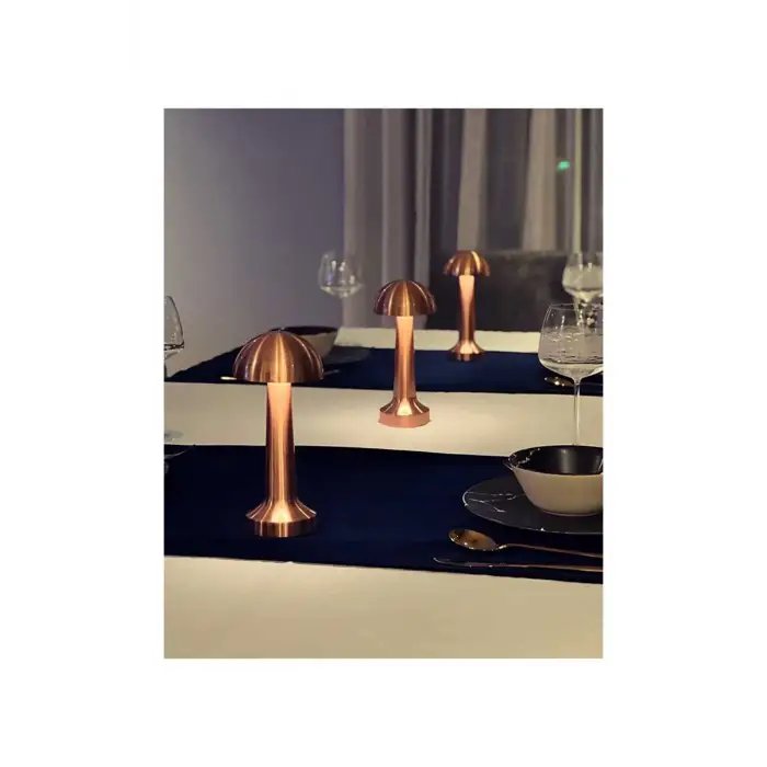 Cata Lizbon Şarjlı Masa Lambası Ct-8430