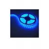 Cata 10 Çipli Şerit Led İç Mekan Mavi (5mt) Ct-4484