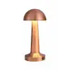 Cata Lizbon Şarjlı Masa Lambası Ct-8430