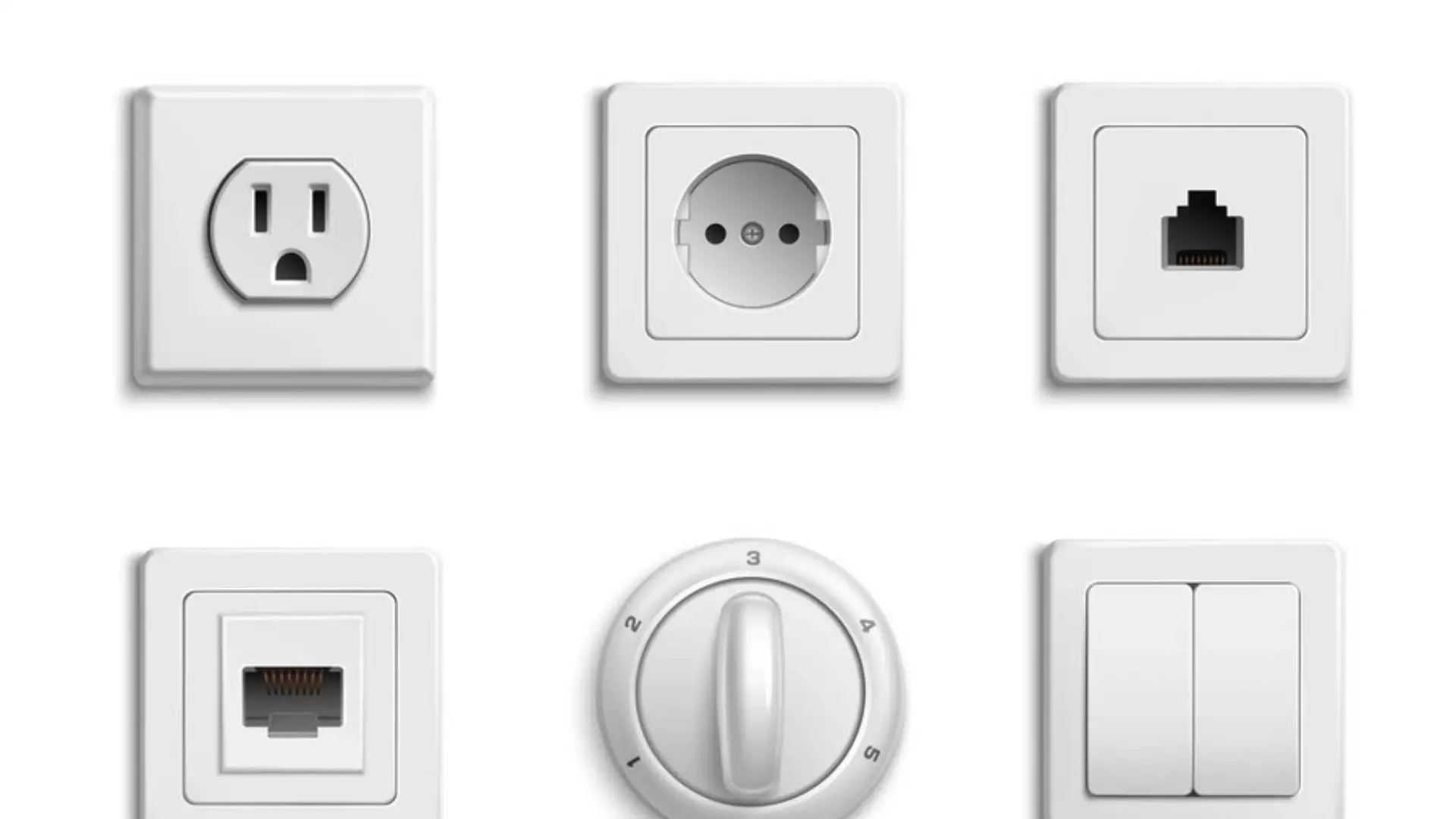 Dişi Fiş Özellikleri Nelerdir?