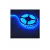 Cata 10 Çipli Şerit Led İç Mekan Mavi (5mt) Ct-4484