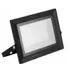 Horoz Pars 100w 2700K Günışığı Smd Led Projektör