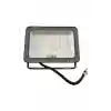 Cata 50w Led Projektör Günışığı Ct-4658G