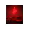 Cata CT-4455 12V Kırmızı Neon Led 25MT