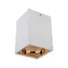 CATA CT-5420 Beyaz Gold Dekoratif Spot Kasa G-10