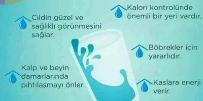Suyun İnsan Sağlığı İçin Önemi