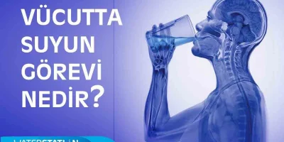 Vücudumuzda suyun asıl görevi nedir?
