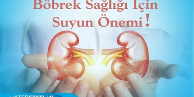 Böbrek sağlığı için suyun önemi.