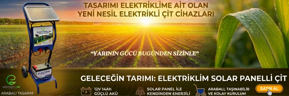 ELEKTRİKLİM ARABALI TASARIM