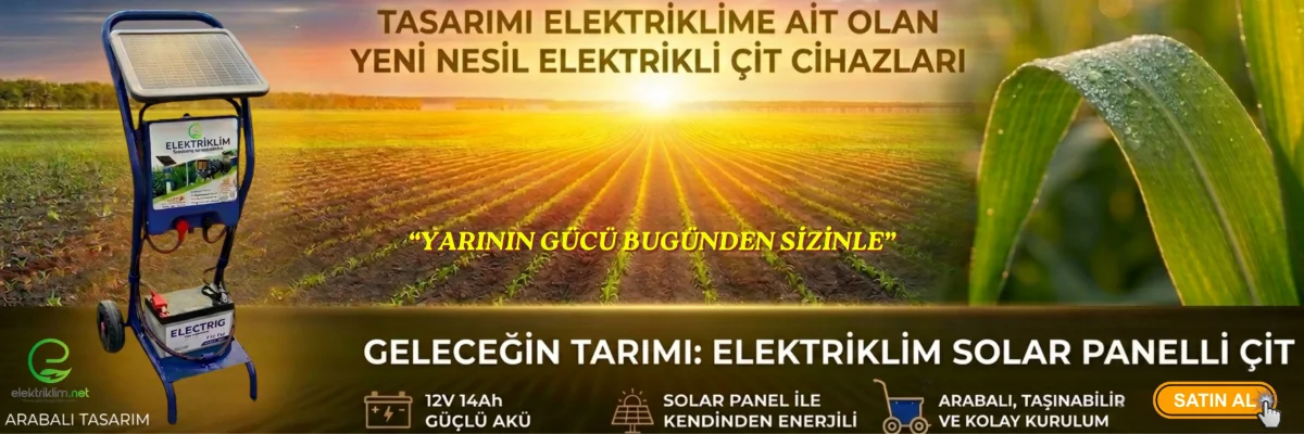 ELEKTRİKLİM ARABALI TASARIM
