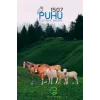 Puhu Ecos Elektrikli Çit Cihazı (4 Joule = 40.000 M)