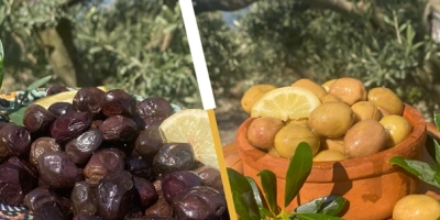 Siyah Zeytin ile Yeşil Zeytin Arasındaki Fark Nedir?