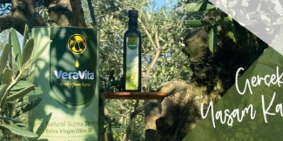 Soğuk Sıkım Zeytinyağı Nedir?