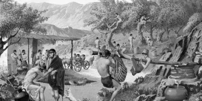 Zeytinyağının Tarihçesi