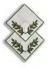 Agbtrend Kendin Tasarla - Çıtçıtlı Modüler Limon Nakışlı Broş (2 Adet)