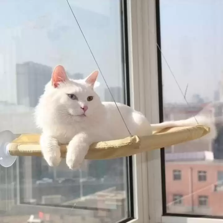 Cama Asılan Kedi Yatağı