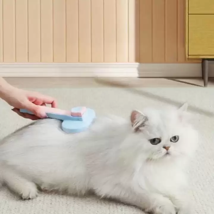 Kedi Ve Köpekler İçin Kendini Temizleyen Tüy Fırçası