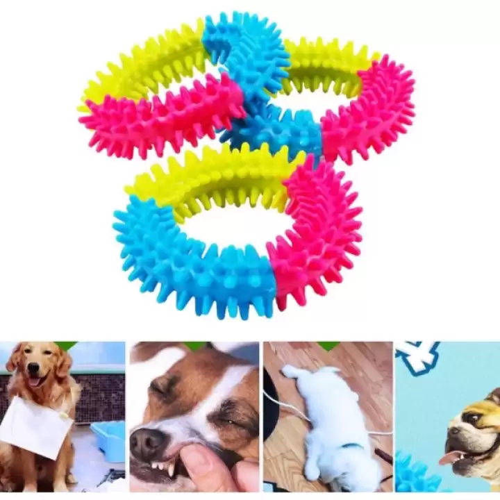 Köpek Isırma Diş Kaşıma Çemberi