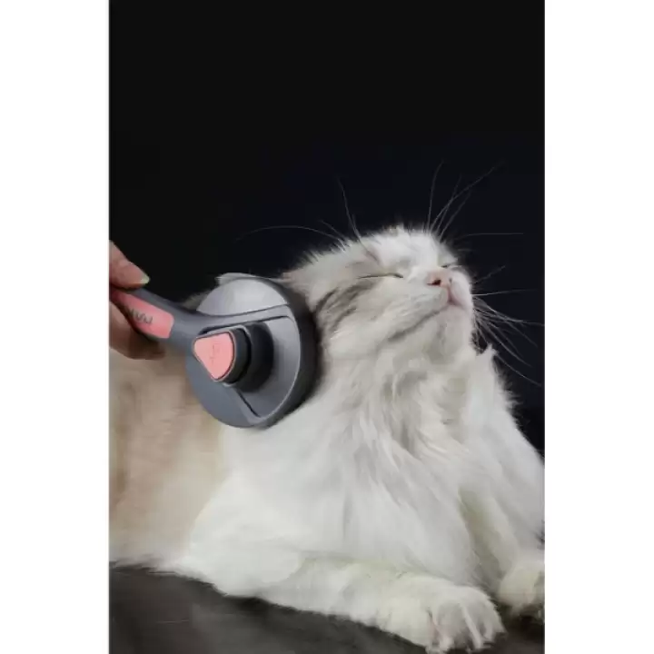 Otomatik Tuşlu Kendini Temizleyen Kedi Köpek Tarağı
