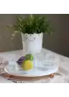 Akayev Mermer Beyaz 25 Cm Rose Gold Boncuk Ayak Elysia 4lü Reçellik İkramlık