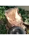 Ahşap Eğe Diski