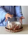 Akayev Rattan 25 cm Cam Fanus Sunumluk