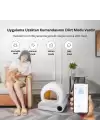 Akıllı Otomatik Kedi Tuvaleti