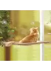 Cama Asılan Kedi Yatağı