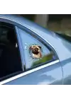 Fulcar French Bulldog Araç Stickerı