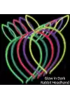 Glow Tavşan Tacı Seti 6lı Set
