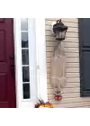 Halloween Sensörlü Işıklı Hareketli Mumya