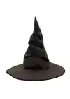 Harry Potter Seçmen Şapka Yetişkin Boy