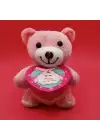 Hediyelik Pembe Kutulu Ayıcık