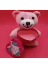 Hediyelik Pembe Kutulu Ayıcık