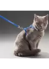 Kedi Boyun Ve Göğüs Tasması