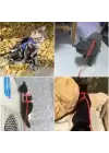Kedi Boyun Ve Göğüs Tasması