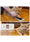 Kedi Köpek Pati İzi Fotoğraf Çerçevesi Seti