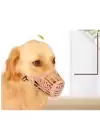Köpek Koruma Ağızlığı 7li Set