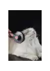 Otomatik Tuşlu Kendini Temizleyen Kedi Köpek Tarağı
