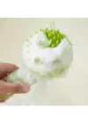 Sıvı Hazneli Evcil Hayvan Tarağı