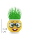 Çim Adam Saksı Emoji Figürlü 1 Adet