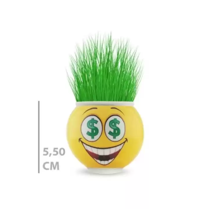 Çim Adam Saksı Emoji Figürlü 1 Adet