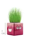 Çim Adam Mini Küp Emoji Figürlü 1 Adet