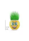 Çim Adam Saksı Emoji Figürlü 1 Adet