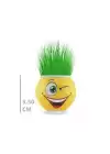 Çim Adam Saksı Emoji Figürlü 1 Adet