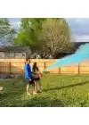 Cinsiyet Tüpü - Gender Reveal Partisi Tüpü Mavi Renk