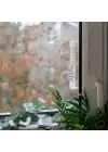 Dış Mekan Termometresi