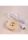 Işıklı Yonca Tasarımlı Cam Küre