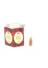 Red Rose Aromalı Geri Akış Tütsü