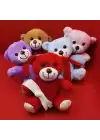 Renkli Peluş Ayıcık